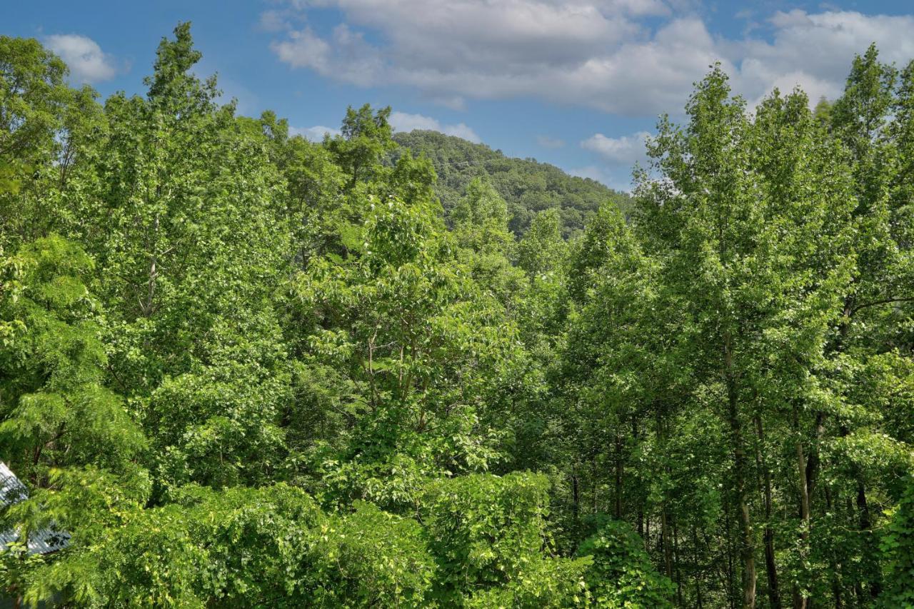 Blue Ridge Delight Villa Clayton Bagian luar foto